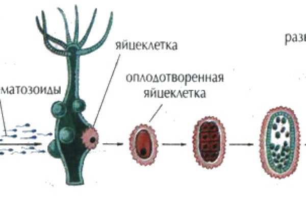 Кракен 16 at