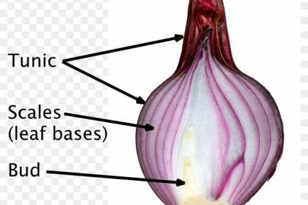 Кракен онион тор